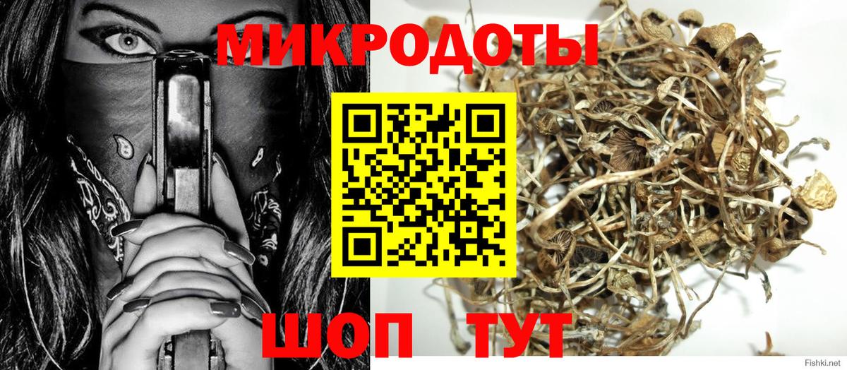 Псилоцибиновые грибы MAGIC MUSHROOMS  Вход с VPN  Заводоуковск 