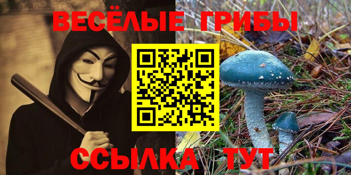 Галлюциногенные грибы мухоморы Заводоуковск